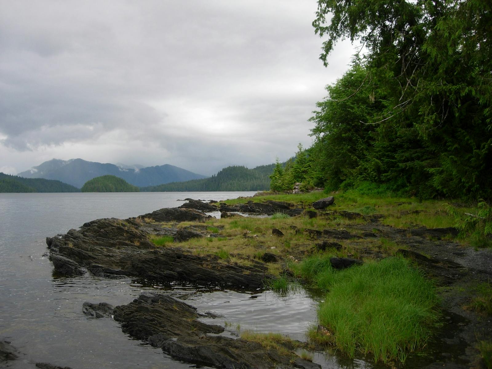 Northern Pacific Alaskan Coastal Forests One Earth